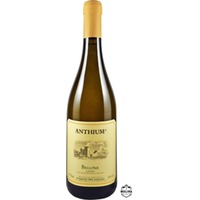 ANTHIUM, IGT Lazio