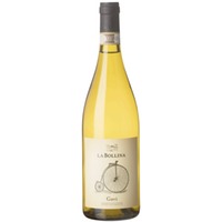 GAVI D.O.C.G – Weingut La Bollina