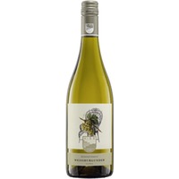 Bodenständig Weissburgunder trocken - Weingut Hiss