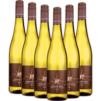 Zwölfter Mann - Ellermann-Spiegel - 6x Vorteilspaket