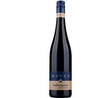 Spätburgunder - vom Tonmergel - - Weinhof Mayer