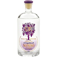 Nonino Distillatori Ùe Di Fragolino Monovitigno Acquavite DUva 0.5 l Friuli - Traubenbrand