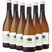 6er Vorteilspaket - Valdelagunde Cuvée Especial Verdejo - Pedro Escudero