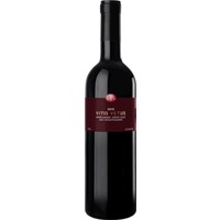 GVS Schachenmann Vitis Vetus Dörflingen Pinot Noir - - Schaffhausen, Schweiz