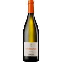 Coppo Costebianche Chardonnay, Piemonte DOC, Piemont, 2023, Weißwein