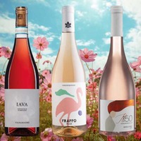 Rosa in den Mai (6 Fl.) - frei Haus