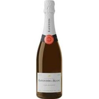 Raventos i Blanc Blanc de Blancs Reserva Brut