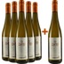 5+1 Paket Sylvaner feinherb - Weingut Echter 