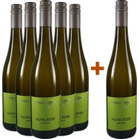 5+1 Huxelrebe Spätlese - Weingut Steffen Lahm