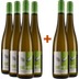 4+2 Paket Sauvignon Blanc feinherb - Weingut Nehb 