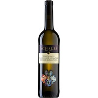 Dalsheimer Hubacker Weisser Burgunder - Weingut Schales