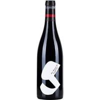 Zweigelt Ried Haidacker BIO - Weingut Glatzer
