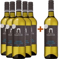 5+1 Paket "Das Tor zum Kaiserstuhl" Grauburgunder trocken - BISCHOFFINGER WINZER