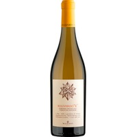 Belguardo V Vermentino Superiore - Tenuta Belguardo - Mazzei