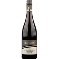 Recher Herrenberg Portugieser trocken - Weingut Max Schell