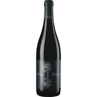 Lo Zoccolaio Barolo Ravera Riserva trocken - Azienda Agricola Villa Lanata s.s