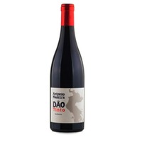 António Madeira Tinto