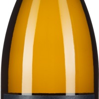 Roter Veltliner Ried Steinberg Privat 1ÖTW Erste Lage