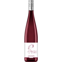 Spritzer Cassis - Weingut Anton