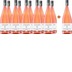 11+1 Portugieser Rosé Weißherbst - Weingut Anton 