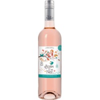 Born To Be Free Rose