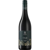 Alexander Cinsault
