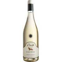 Eugenio Collavini Pinot Grigio Canlungo