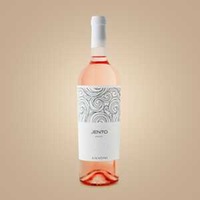 Giustini Jento Rosato Vivace