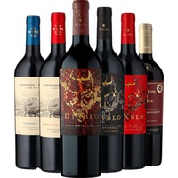 6er-Probierpaket »Rotweine Concha y Toro«
