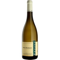 Jean-Charles Fagot : Saint-Romain Village