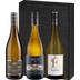 3er-Paket Geschenkset Grauburgunder - Weinpaket 