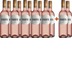 10+2 Rosé ÖTW Gutswein BIO BIO - Bio Weingut Robert Payr 