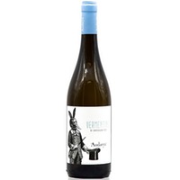 Vermentino di Sardegna DOC - Audarya