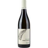 Pinot Grigio Valdadige DOC - Tera Alta - Cantina Roeno
