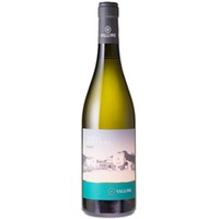 Salento Bianco Fiano IGP - Tenuta Serranova - Vallone