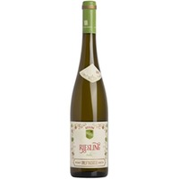 Riesling Trocken - Dr. Fischer
