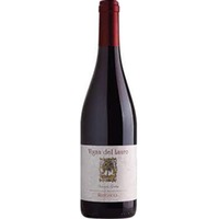 Refosco IGP - Vigna del Lauro