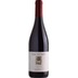Refosco IGP - Vigna del Lauro 