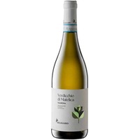 Verdicchio di Matelica DOC - Terre di Valbona - Belisario
