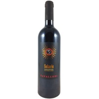 Sangiovese di Romagna DOC Superiore - Solaris - Zavalloni