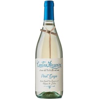 Pinot Grigio Terre di Chieti IGT - Linea Tralcetto - Zaccagnini