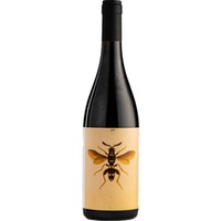 Romagna DOC Sangiovese Predappio BIO - Il Sangiovese - Noelia Ricci