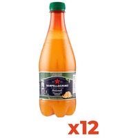 Sanpellegrino Aranciata Amara - Pet - Confezione 45cl x 12 Bottiglie