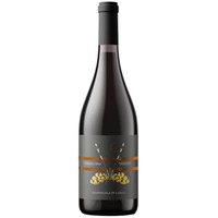 Montepulciano d'Abruzzo DOC Biodinamico Senza Solfiti - Terreum 91 - Vignamadre