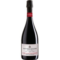 Lambrusco Reggiano DOP - Marchese Manodori - Venturini Baldini