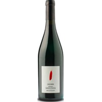 Romagna Sangiovese Superiore DOP - Caciara - Enio Ottaviani