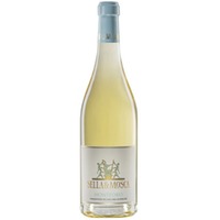 Vermentino di Gallura Superiore - Monteoro - Sella & Mosca