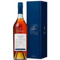 Cognac Delamain Mill.1995 Coll.Revelation 70cl - Astucciato