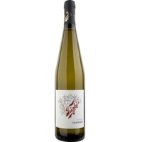 Gewürtraminer - Tuzko