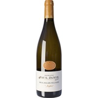 Beaujolais-Villages Blanc Argiles - Paul Janin et Fils